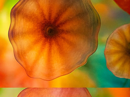 베타 지역 모험 공간