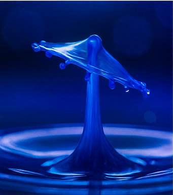 독창적 탐험 세계