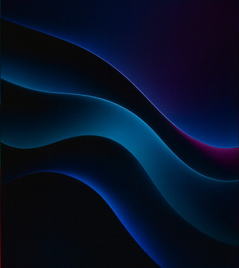 몰입형 체험의 정수